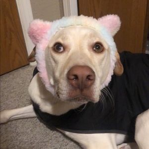 Meet your Posher, Carson